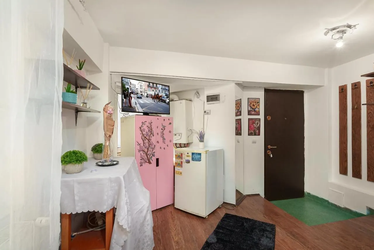 Casa Andu Apartment Bucureşti